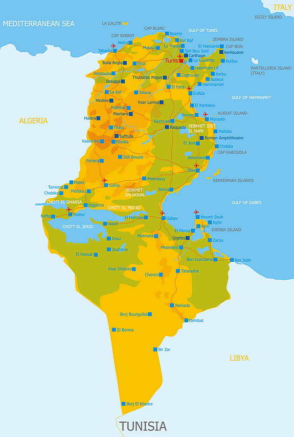 Тунис какое море. Тунис политическая карта. Тунис на карте Африки с курортами. Тунис на карте Африки. Государство Тунис на карте.