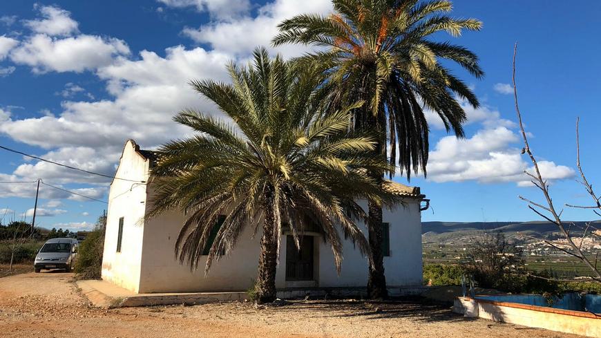 ферма апельсиновая валенсия испания дом строение белый пальмы небо облака солнце зорошая погода переезд отдых в Испании