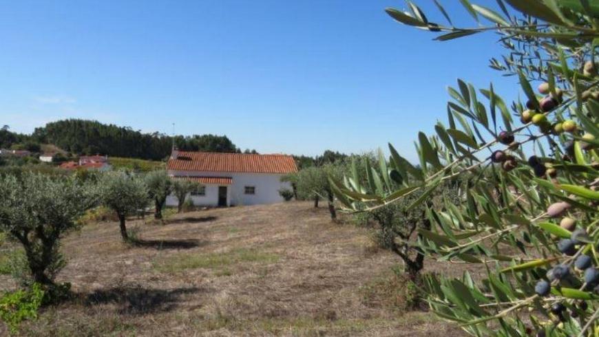 Ферма в Португалии